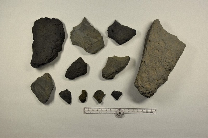 NEWSの窓：文化 中期旧石器 広島で出土 人類はいつ日本列島に