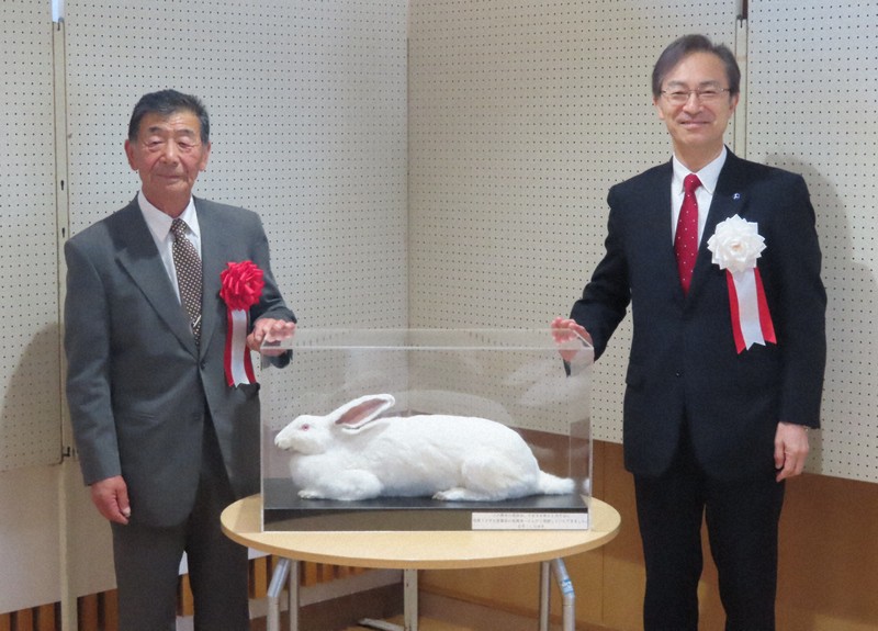 ジャンボウサギの剝製、展示始まる 純白の毛、海外からも注目 秋田