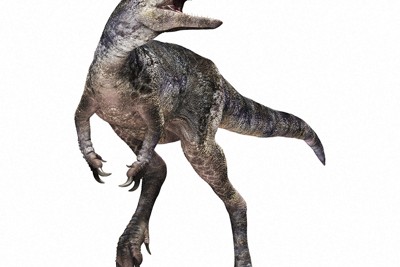 ティラノサウルスの新種を発見　「進化の空白」穴埋めか　北大など