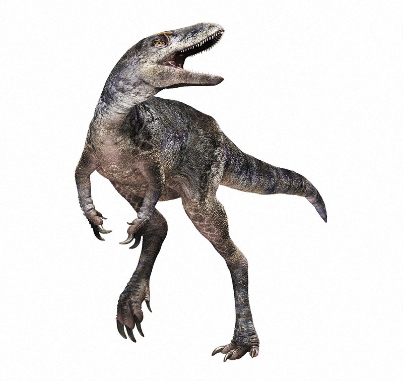 ティラノサウルスの新種を発見 「進化の空白」穴埋めか 北大など