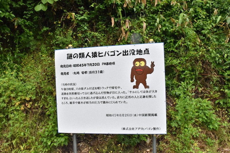 やっぱりいた！？ ヒバゴン再び 騒動から55年 目撃情報で話題急上昇