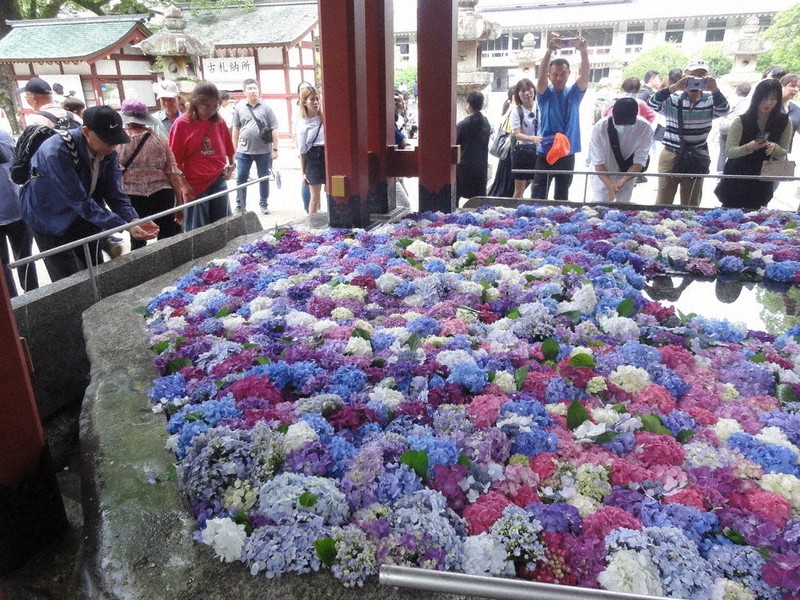 心晴れやか 花手水 太宰府天満宮 ／福岡 | 毎日新聞