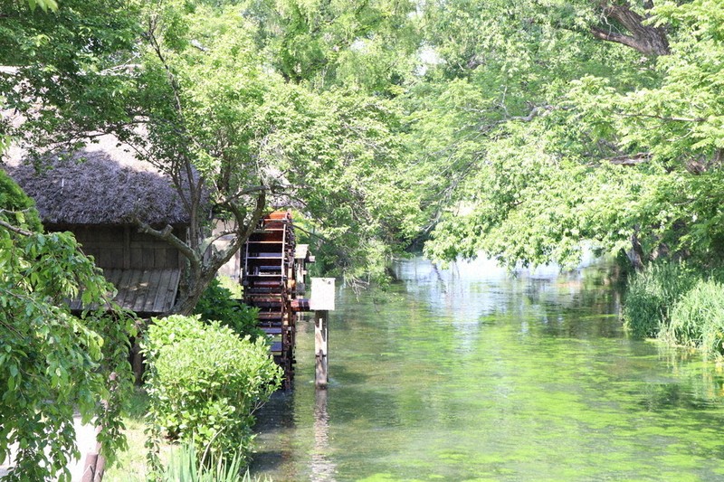 わたしのふるさと便：イチオシマップ 長野県 安曇野市「大王わさび農場