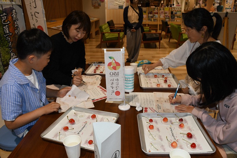 サクランボ10種食べ比べ 「それぞれに違うおいしさ」 山形・鶴岡
