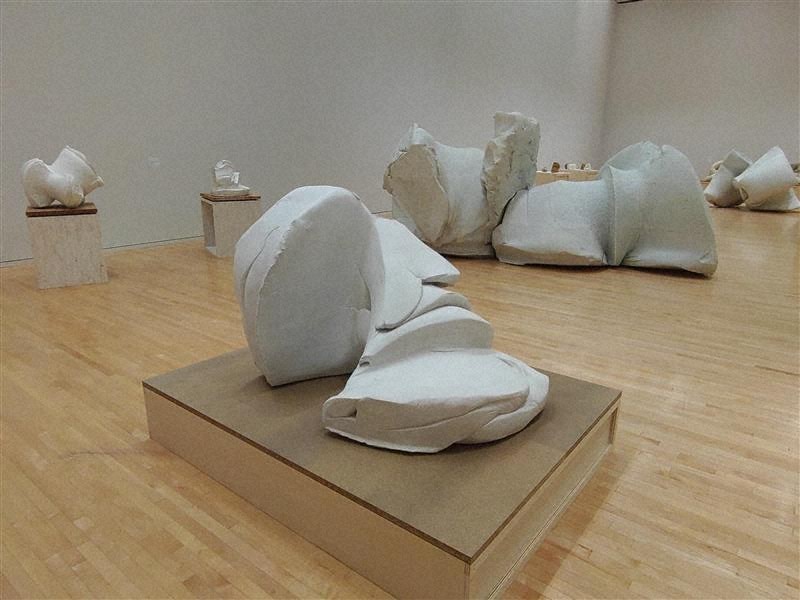 ART：大病越え驚異の進境 岡崎乾二郎展 東京都現代美術館 | 毎日新聞
