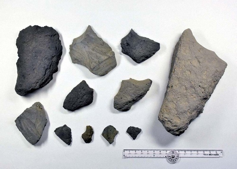 文化財のあした：4万2300年前 冠遺跡石器の衝撃 旧人か新人か、議論