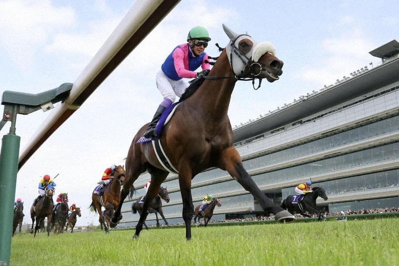 メイショウタバル　2025 宝塚記念　現地単勝馬券 メイショウタバル 2025 宝塚記念 現地単勝馬券 - メルカリ