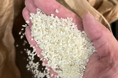 「くず米」で日本酒　常識疑う酒蔵がコメ不足で放ったアンチテーゼ