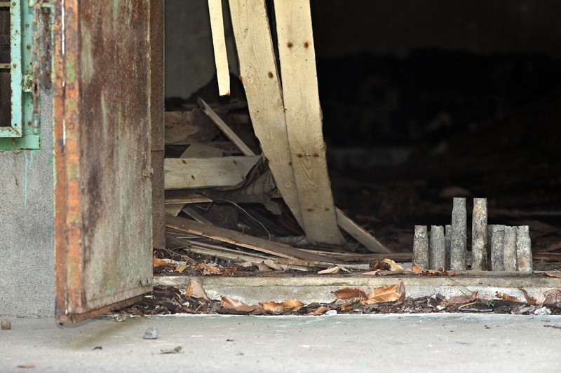 残像1945：かつての弾薬庫 今は歓声響く「こどもの国」 横浜 [写真特集