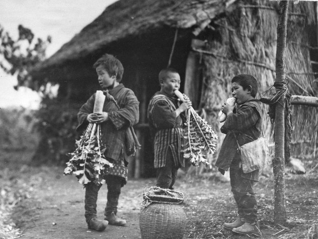 昭和の農家 サンデー毎日：『サンデー毎日』が見た昭和100年 第17回 昭和農業恐慌