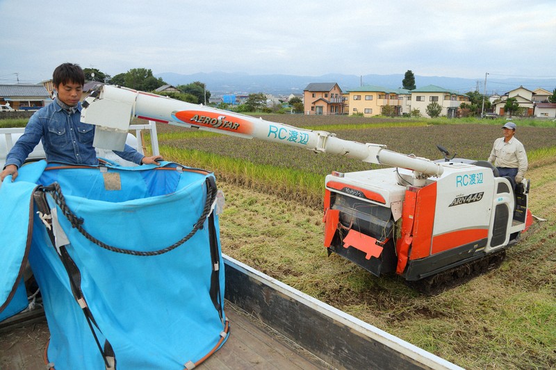 この先に待つのはコメ余り？ 農家が不安視する小泉改革 | 毎日新聞
