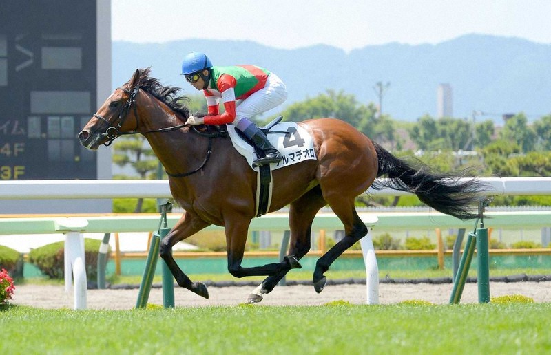 キタサンブラック＆レイデオロ 函館4R・3歳未勝利】キタサンブラックの半弟アルマデオロが初
