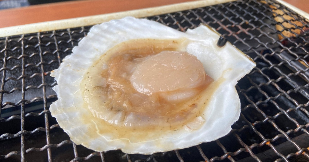 ＜1分で解説＞国産ホタテ中国輸出再開　国内3業者のみOK　基準は