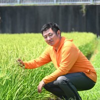 収穫期も近い早場米の稲穂を手にする松浦淳二さん＝宮崎県西都市で2025年6月28日午後2時24分、下薗和仁撮影