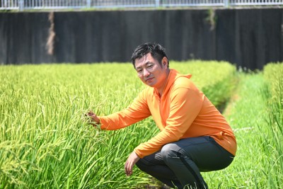 本気でコメ増やす気概あるなら…」 前農相の地元・宮崎の農家訴え