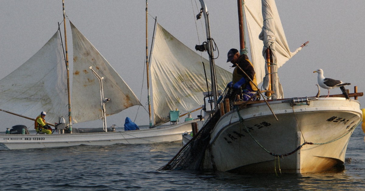 Easy Japanese news in translation: Hokkai shrimp fishing season begins in Hokkaido