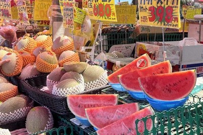 尾花沢西瓜盛大啟航,品質創近年最佳紀錄
