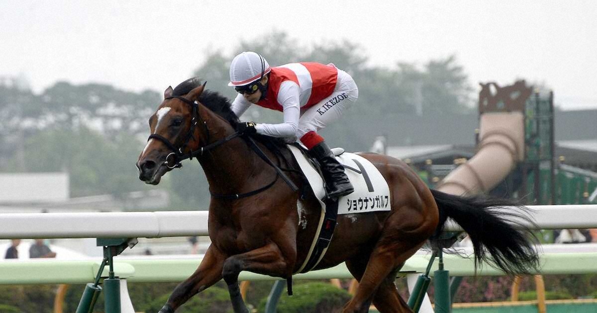 馬券単勝 ポルトフィーノ 新馬戦 函館5R・2歳新馬戦】2億円ホースのショウナンガルフ 7馬身差V