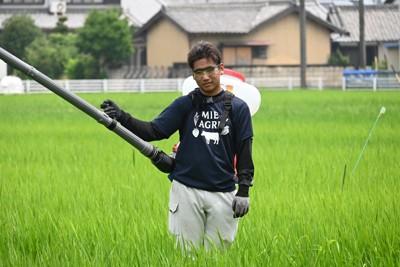 川崎市「露地番茄」迎盛產，外形飽滿受歡迎