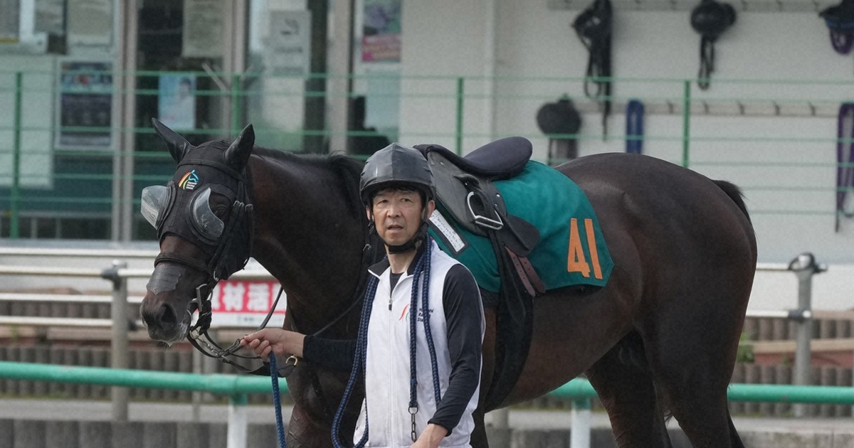 藤原サトノダイヤモンド 新馬戦〜天皇賞・春２歳から４歳国内全１０戦現地単勝 サトノダイヤモンド 新馬戦〜天皇賞・春2歳から4歳国内全