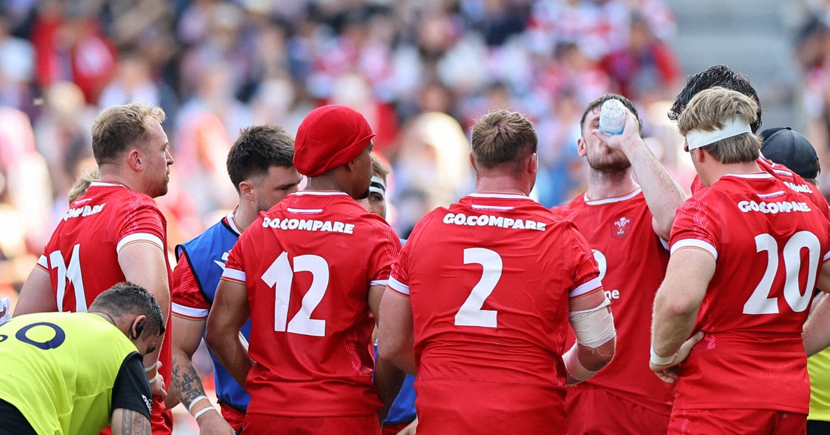 ラグビーウェールズ代表 ジャケット マクロン ラグビー日本代表 22-23 WRUウェールズラグビー アンセムフーディ ジャケット