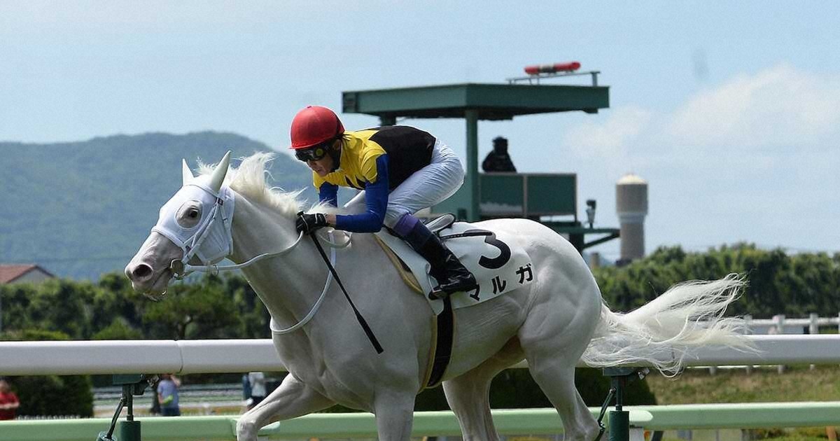 激レア　競馬大勝負 マルミ株式会社 280円 なぎさのウマ飲みチャンネル🐽ブログとYouTube🐽 on X: 