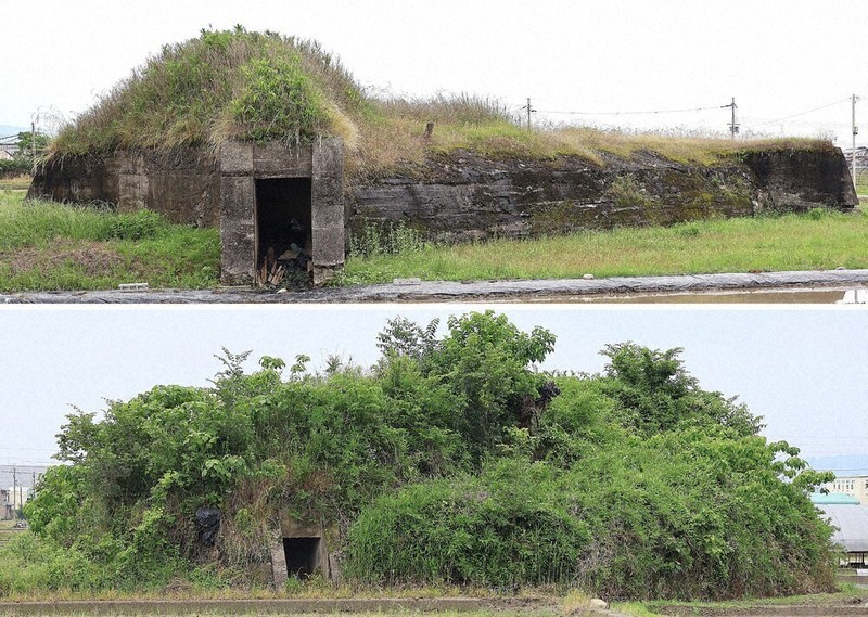 在郷軍人会 良兵良民から赤紙・玉砕へ 在郷軍人会 ー良兵良民から赤紙・玉砕へ(藤井忠俊) / 古本、中古