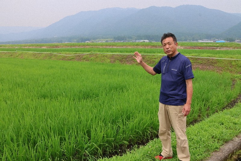 参院選2025：減反、協力してきたのに 増産転換に農家ため息 中山間