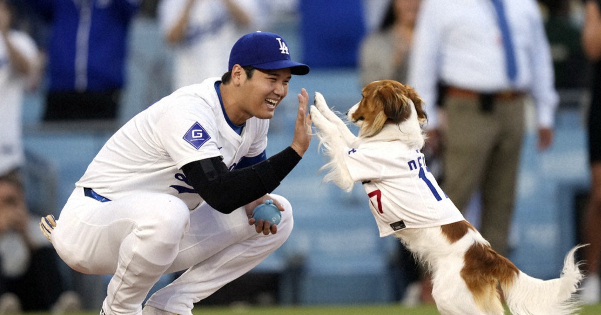 Shohei Ohtani co-writes children's book starring his dog Decoy