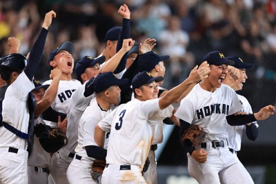 高校野球夏の甲子園 前橋商がサヨナラ勝ちで13年ぶりの夏の甲子園へ 高校野球群馬