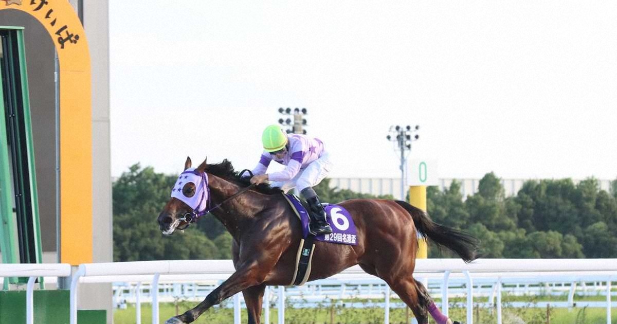 競馬 名古屋7R スポニチ賞名港盃】サンテックス 逃げ切って重賞制覇