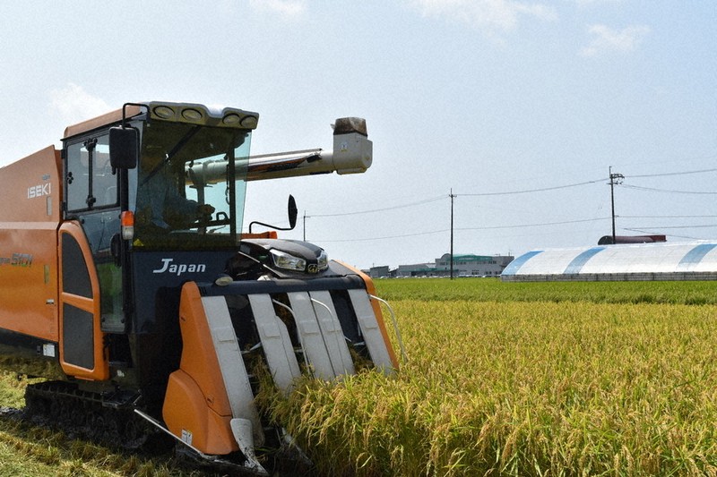 たわわに実る早場米 南国そだち収穫期 ／高知 | 毎日新聞