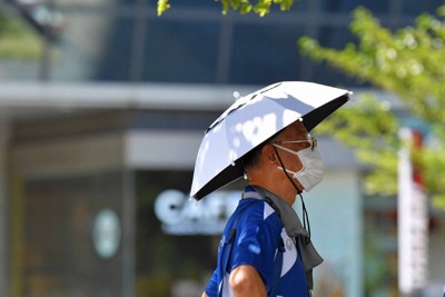 江戶風鈴傳來一抹涼意 下關龜山八幡宮舉辦「風鈴祭」