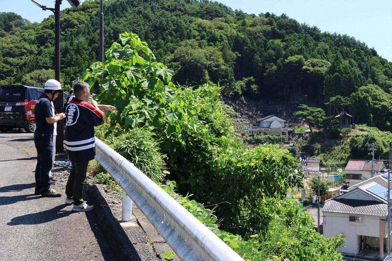 ダイヤモンドアートクラブ Sunny Road To The Sea ダイヤモンドアート