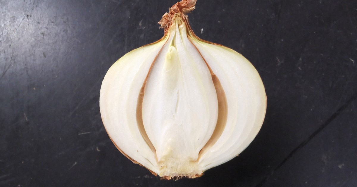 タマネギの中が茶色に……「鱗片腐敗病」かも？ 食中毒の危険性も | 毎日新聞