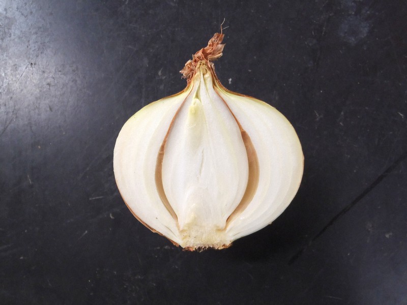 タマネギの中が茶色に……「鱗片腐敗病」かも？ 食中毒の危険性も | 毎日新聞