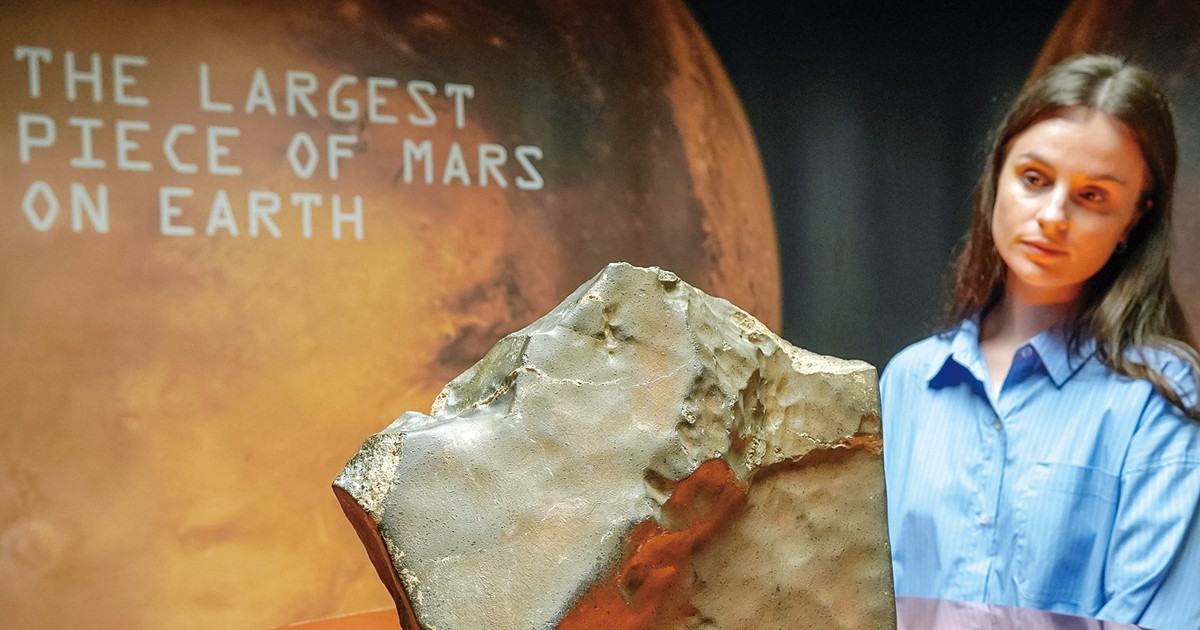 ワールドウオッチ：ニューヨークの競売で史上最大の火星の“かけら”を