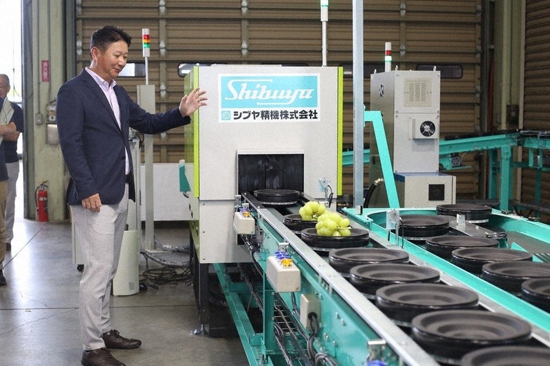 商談中　青梅用　選果機 ブドウ 待望の選果機 山梨、国内初導入へ実証実験 光センサーで糖度