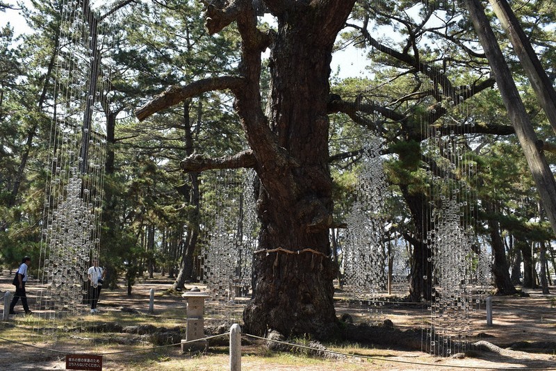 瀬戸芸・夏会期開幕 香川東部も会場に 地元の特徴生かした作品も