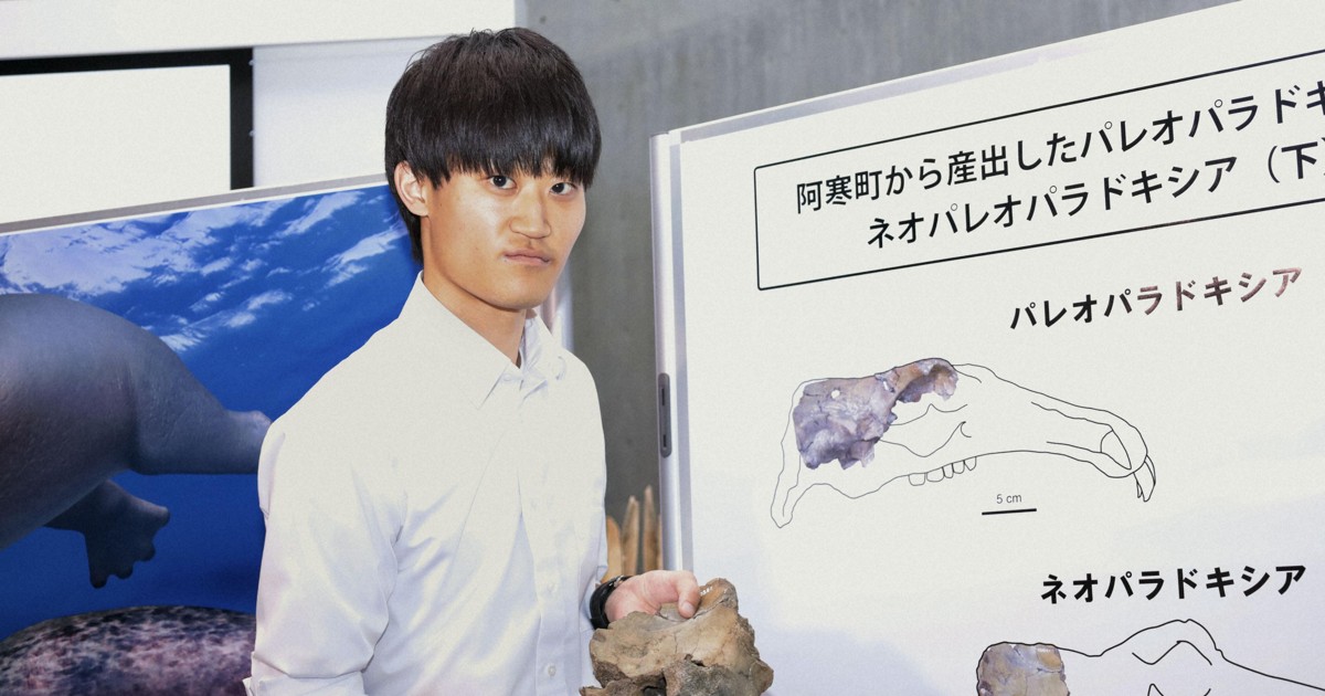 絶滅種「ネオパラドキシア」の化石、日本で初確認　世界4例目