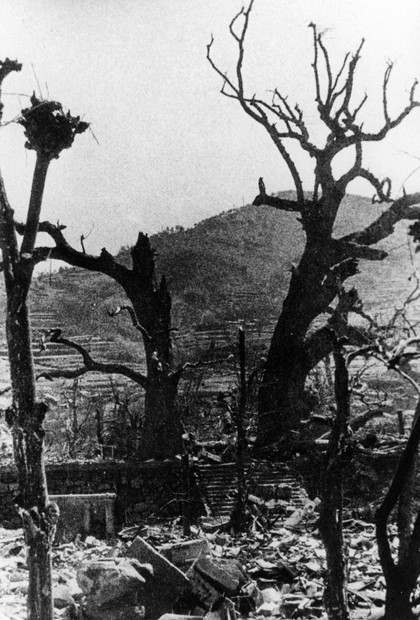 福山雅治さんの「クスノキ」から考える8・9 長崎式典で初合唱へ | 毎日新聞