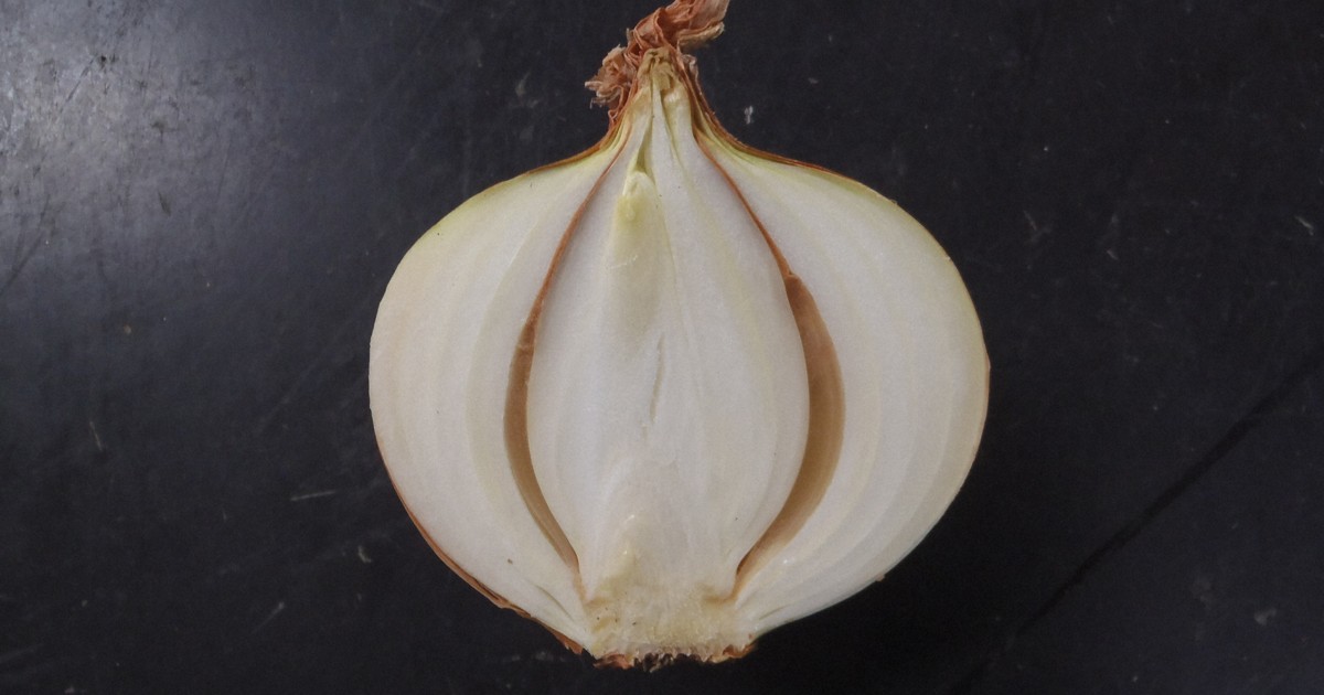 Japan expert warns of onion rot, offers tips for safe storage and consumption