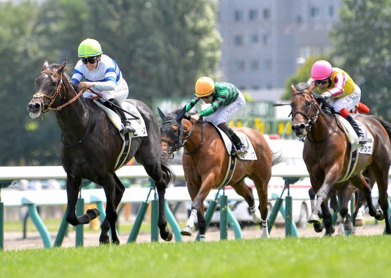 ボルドーW金賞、5年連続金賞ＳＰ黄金ヴィンテージ計10本(北海道沖縄不可) 札幌5R・新馬戦】1番人気ヒシアムルーズが3角先頭から押し切る