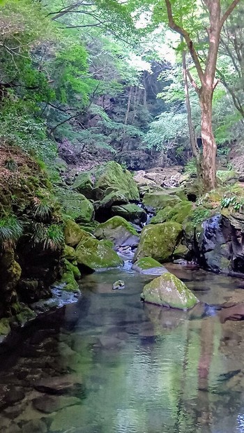 わたしのふるさと便：イチオシマップ 三重県 名張市「赤目四十八滝