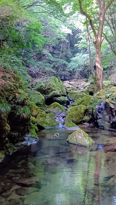 わたしのふるさと便：イチオシマップ 三重県 名張市「赤目四十八滝