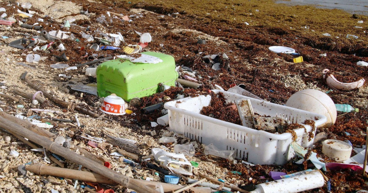 Asia's plastic leakage to environment to rise 70% by 2050: OECD