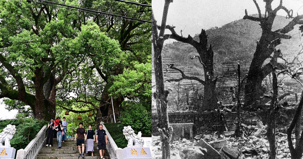 1945年の日本、今の日本 写真で比較する戦後80年 [写真特集1/33