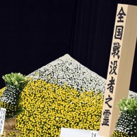 全国戦没者追悼式＝東京都千代田区で2024年8月15日、武市公孝撮影
