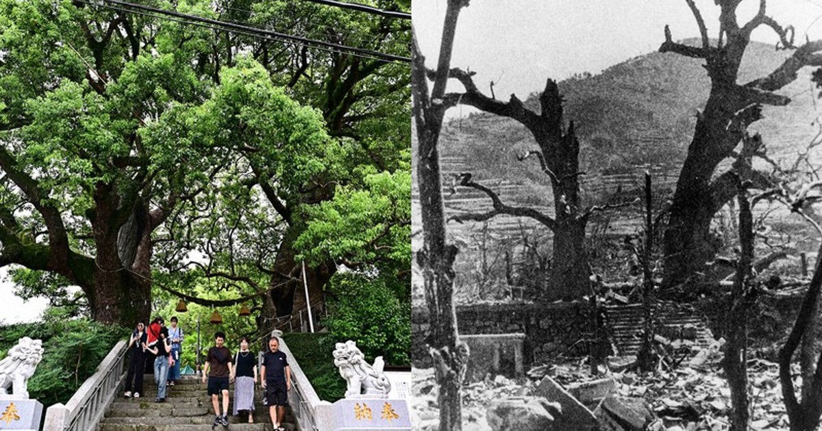 ＪＡＰＡＮ IN TRANSFORMATION 1945-2010　洋書　歴史 Japan in Transformation, 1945–2020 - 3rd Edition - Jeff