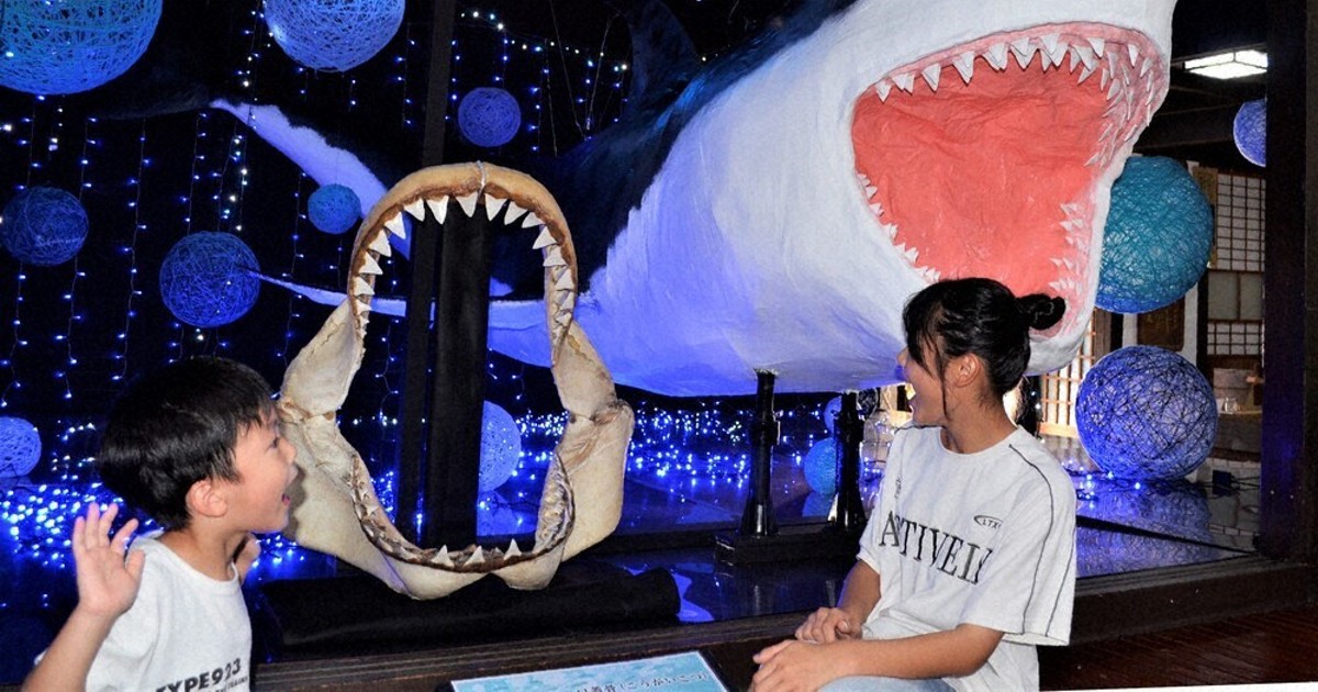 まるで映画の「ジョーズ」 サメの迫力アップ 光ふるさと郷土館 顎の骨